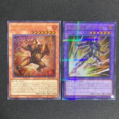 遊戯王 ブラックローズドラゴン スリーブ デュエリストカード