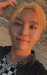 SEVENTEEN SEUNGKWAN FACE THE SUN WeversJapan トレーディングカード CARAT