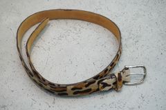 新品 24SS DAIWA PIER39 ダイワ ピアサーティナイン TECH WIND SHIELD  