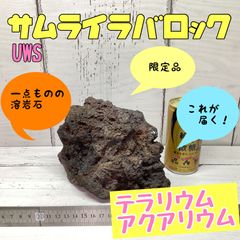 サムライラバロック 溶岩石 アクアリウム - メルカリ