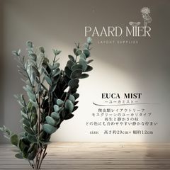 Item thumbnail for item 27a9f37a-7474-4641-a721-555f05a879f3