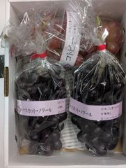 マスカットノワールとコトピーの詰め合わせ(計3房前後、1.6kg以上)