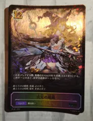 2025年最新】次元の超越 プロモの人気アイテム - メルカリ