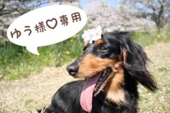 ⭐ジェリーA(プロフ必読)様♡専用 - メルカリ