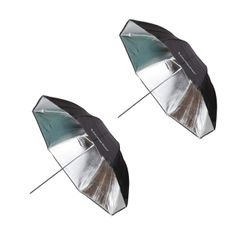 Item thumbnail for item 58ae6965-b5de-4c47-9e2b-c91c1793e831