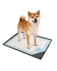 Item thumbnail for item b594556d-e2b6-463d-8739-6905c70c7100