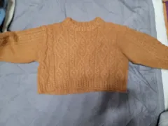 クロップドセーター Free!