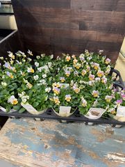 RYU様専用おまとめセット - メルカリ