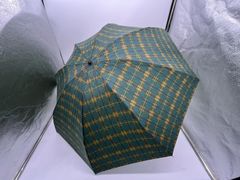 Item thumbnail for item c02ca8f0-b93c-4d63-8e54-07365f7e206e