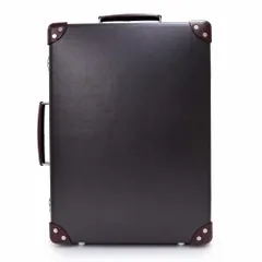 2026年最新】GLOBE TROTTER センテナリー キャリーオンの人気アイテム