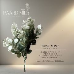 Item thumbnail for item 5ff2bf9f-7f3f-46d7-9126-6d586789470a