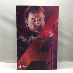 1/6 ホットトイズ ヴィジョン 可動フィギュア - メルカリ
