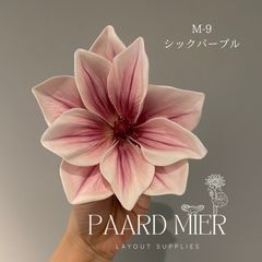 Item thumbnail for item f4e17774-19b8-47fb-a52f-b03e77cd6bb2