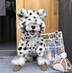 86ドッグウェア　犬用パーカー　ジッパー　小中型犬用服　厚手コート　ふわふわジャケット　シュナウザー　プードル　ビジョン　テディ　あったかい　洗濯可能　ペット服　アウター　お出かけウェア　ペットウェア　犬服　犬の服　秋冬服　高品質　フード付き　チャック　斑点柄