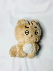 ポバトゥ テヒョン TOMORROW X TOGETHER(TXT) カン・テヒョン(TAEHYUN)