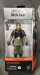 HASBRO 01 / THE BLACK CASSIAN ANDOR (ALDHANI MISSION) 6インチ