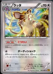 065/080/C/XY9/B ラッタのサムネイル