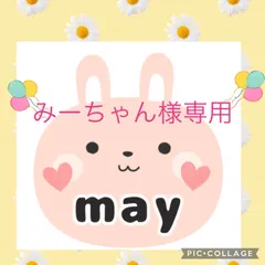 みーちゃん様専用