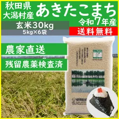 令和7年産  秋田県産 あきたこまち 30kg玄米のサムネイル