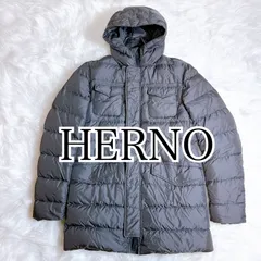 Herno ヘルノ ポーラテック ダウンジャケット 近年モデル