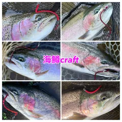 【とくちゃん様専用】管釣り　エリアトラウト 海鱒スパイラル Pro4本セット