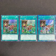 遊戯王　隣の芝刈り　アジア　No.1882 楽天市場】遊戯王 隣の芝刈りの通販