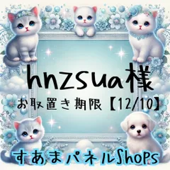 hnzsua様