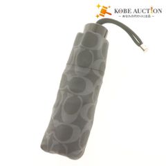 Item thumbnail for item 85e163cb-9503-43b3-a3ae-8213979e3fe3