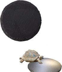 Item thumbnail for item 23800234-4e6e-4503-97bb-229b33bbd051