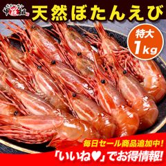 드물게 희귀 한 초특대 사이즈를 엄선 [캐나다산] 천연 보탄 새우 1kg (약 15 꼬리 전후) 모란 새우 모란 새우 버튼 새우 스포트 새우 사시미 [코라조]
