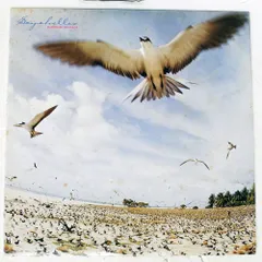 2025年最新】SEYCHELLES [ 高中正義 ]の人気アイテム - メルカリ