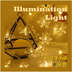 【USBタイプ】雪型 LEDイルミネーションライト 6m ゴールド