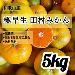 和歌山産 田村みかん 5kg   極早生 サイズ混合 早生みかん 有田みかん　甘くて美味しい 濃厚　ジューシー　訳あり　家庭用