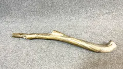 2025年最新】深海松の人気アイテム - メルカリ