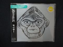 ザ・クロマニヨンズ/タリホー(アナログ7インチ盤) - メルカリ
