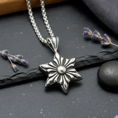 ステンレス ネックレス ペンダント メンズネックレス クロム スター 星 クロス 六芒星 両面同デザイン  ポッキリ