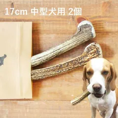 【 17cm 中型犬用 】【2個セット】エゾ鹿の角 犬 おやつ 無添加 国産 北海道産 ペット・ペットグッズ ドッグフード ガム 骨（ボーン）型 硬い 長持ち おもちゃ 鹿角 角ガム ペット用品　犬用品　ドッグフード