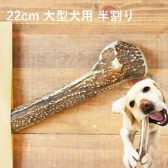 【 22cm 大型犬用 】【半割り】エゾ鹿の角 犬 おやつ 無添加 国産 北海道産 ペット・ペットグッズ ドッグフード ガム 骨（ボーン）型 鹿の角 硬い 長持ち おもちゃ 鹿角 角ガム　ペット用品　犬用品　ドッグフードのサムネイル