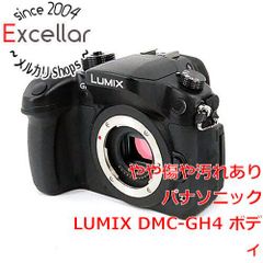 [bn:4] Panasonic LUMIX DMC-GH4-K 몸
