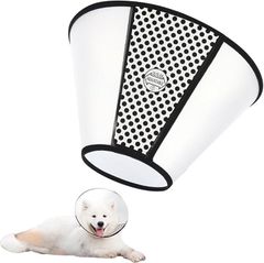 Item thumbnail for item 600c4991-6b4f-482f-a4c6-6b20b0187b7f