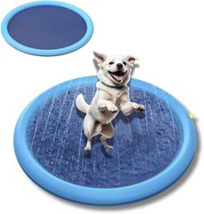 Item thumbnail for item 750f540a-d348-4fa4-a4c8-5df18c72e622