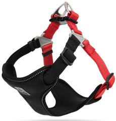 Item thumbnail for item 78a1a544-bef5-45cd-b3f3-3bce32265715