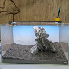 めだかまめ　 MSS-6824 青龍石15キロセット 酸処理済み龍王石 めだかまめ MSS-6824 青龍石15キロセット 酸処理済み龍王石 めだかまめ