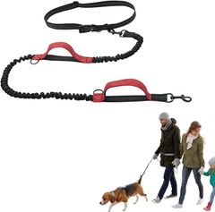 Item thumbnail for item 04853c90-9ecc-4718-b9a2-f1dd2f84f276