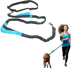 Item thumbnail for item 91bc2131-2ca4-435b-be9c-ade106469b9b