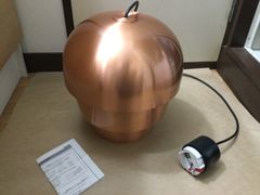 Item thumbnail for item e35d62f9-896f-4747-aa88-1c660b7746d9