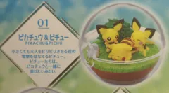 リーメント テラリウムコレクション9 ポケットモンスター ピカチュウ&ピチュー 01