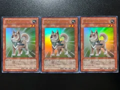 2025年最新】柴戦士タロの人気アイテム - メルカリ