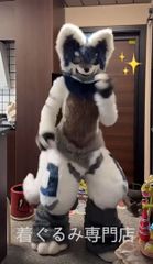 はく製 シロクマ 白熊 しろくま 剥製 - メルカリ