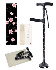 Item thumbnail for item 961f508c-5fb1-44b3-b6d7-ab97bf4f6c41